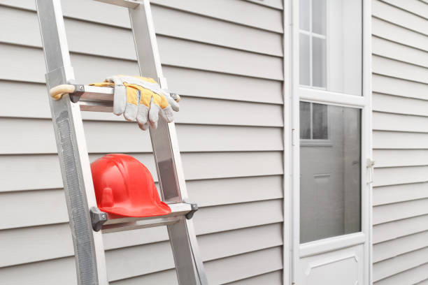 Best Siding Painting and Refinishing  in Beach Haven, NJ