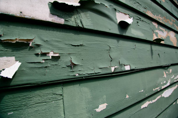 Best Siding Painting and Refinishing  in Beach Haven, NJ