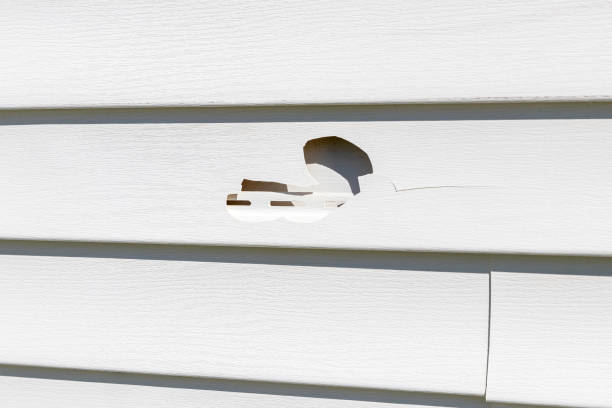 Best Residential Vinyl Siding Installation  in Beach Haven, NJ