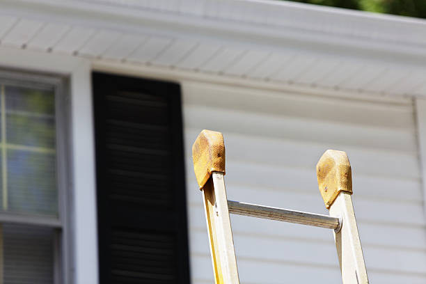 Best Stone Veneer Siding  in Beach Haven, NJ