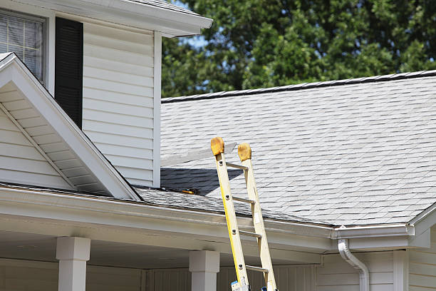 Best Fascia and Soffit Installation  in Beach Haven, NJ
