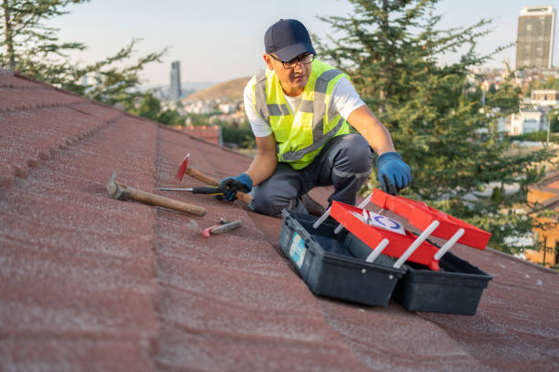 Professional Siding Installation & Repair in Beach Haven, NJ